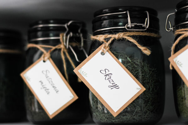 Sztuka Yogi - Warsztat Wyjazdowy